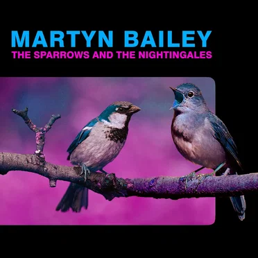 Martyn Bailey
