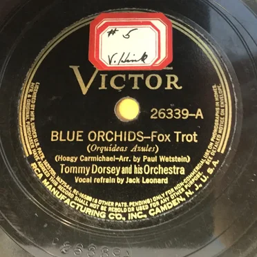 Blue Orchids / Day In‐Day Out