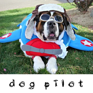 Mile High by Dog Pilot - album cover