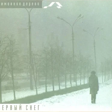 Первый снег