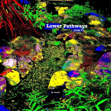 Lower Pathways (Life 7)