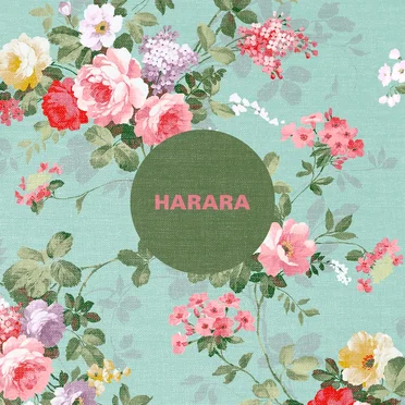 Untitled by Harara - album cover