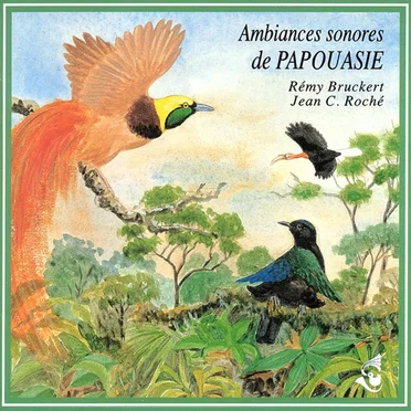 Ambiances de Papouasie / New Guinea Soundscapes