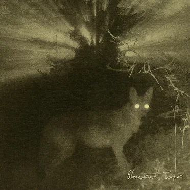 Blackout Tape by Various Artists - album cover