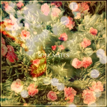 Soul Mates by Da Voile - album cover