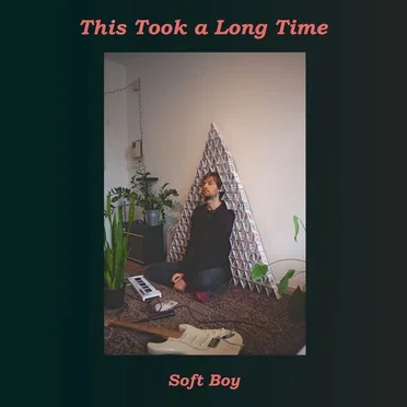 This Took a Long Time by Soft Boy - album cover
