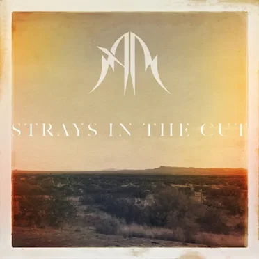 Strays In The Cut by Anna Rose - album cover