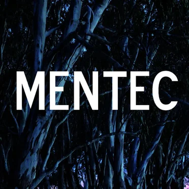 La facture des choses by Mentec - album cover