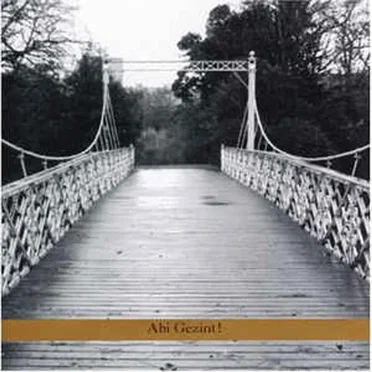 Abi Gezint! by Psamim - album cover