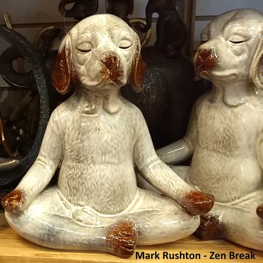 Zen Break by Mark Rushton - album cover