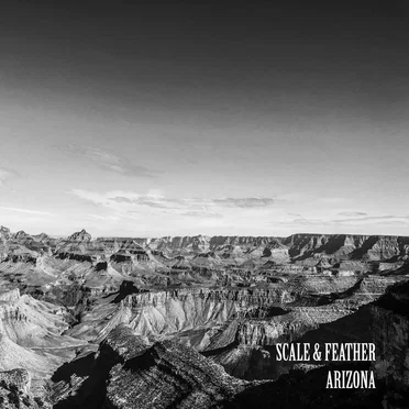 Arizona