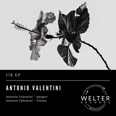 WELTER178 by Antonio Valentini - album cover