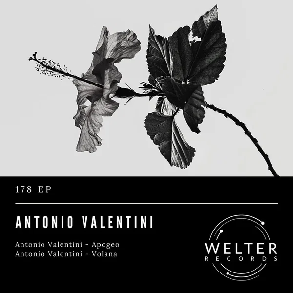 WELTER178