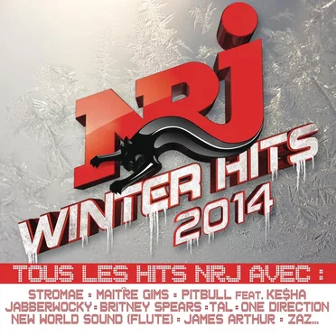 NRJ Winter Hits 2014 by Various Artists - album cover