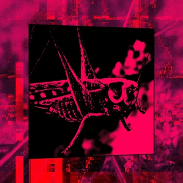 Grasshopper (remix) by Kijijiermoth - album cover