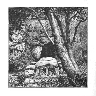 Forest Dwelling