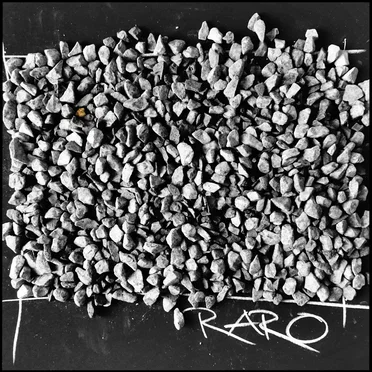 RARO by Harry Quintana - album cover