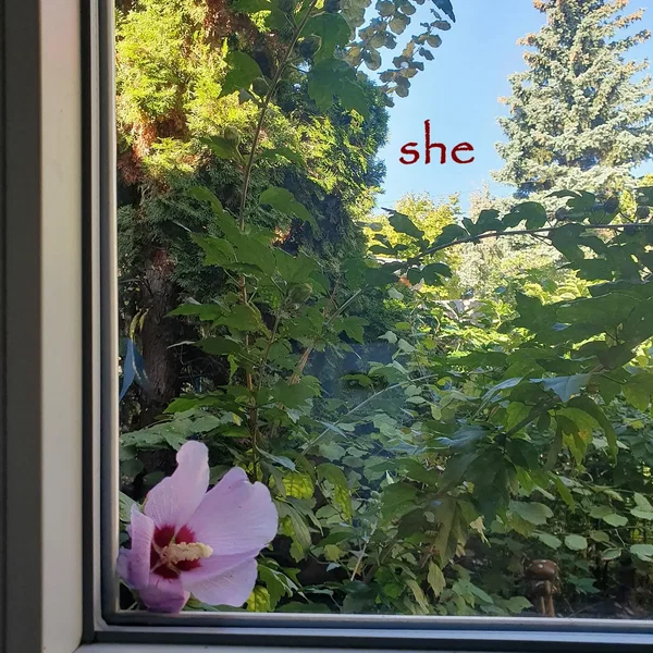 she
