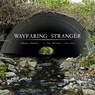 Wayfaring Stranger by Adam Chance - album cover