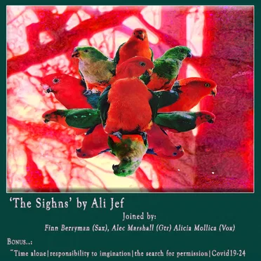 The Sihgns