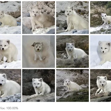 Cy486 Concurrent Pascan-Monic