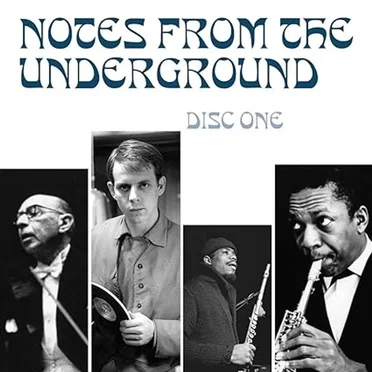 Notes From the Underground: Radical Music of the Twentieth Century by Various Artists - album cover