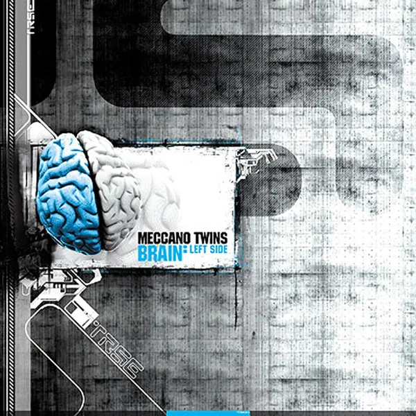 Brain: Left Side