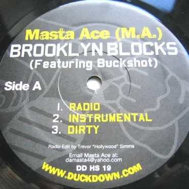 Brooklyn Blocks BW Last Bref