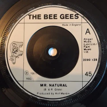 Mr. Natural / It Doesn't Matter Much to Me