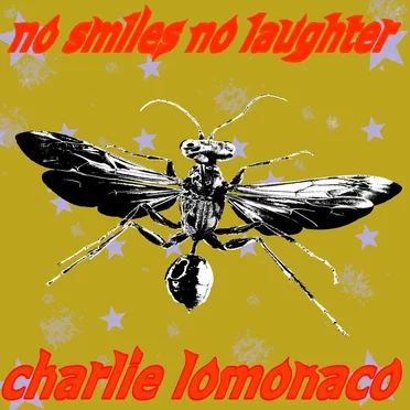no smiles no laughter