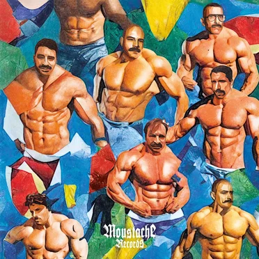 You Can Trust a Man with a Moustache, Vol. 5 by Various Artists - album cover