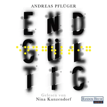 Endgültig by Andreas Pflüger - album cover