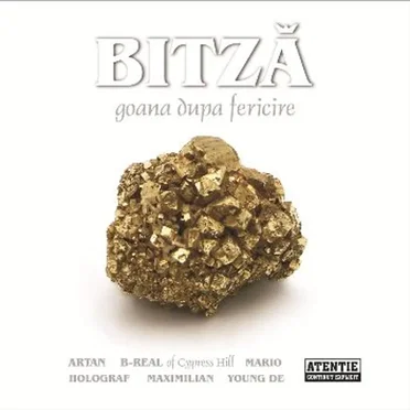 Goana după fericire