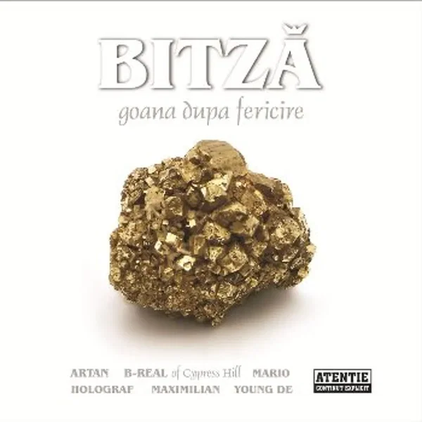 Goana după fericire