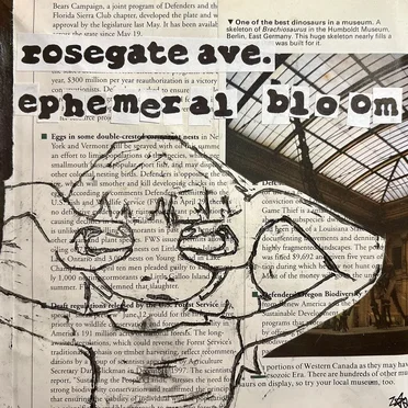 ephemeral bloom by rosegate ave. - album cover