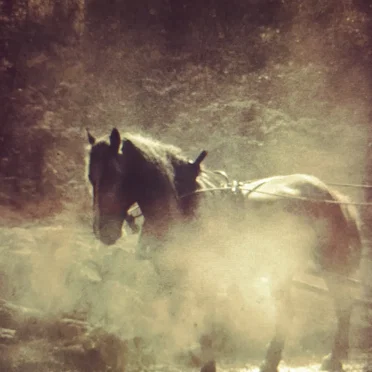 Seven Hells, Volume IV: Into the Flowery