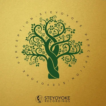 Steyoyoke Perception, Vol. 05 by Various Artists - album cover