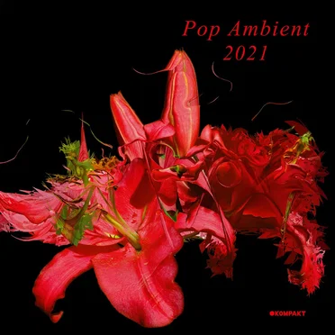 Pop Ambient 2021 by Various Artists - album cover