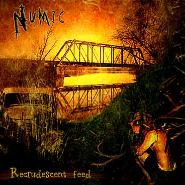 Recrudescent Feed by Numic - album cover