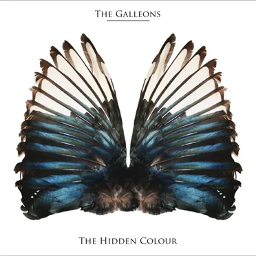 The Hidden Colour by The Galleons - album cover