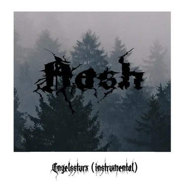 Engelssturz by Aash - album cover