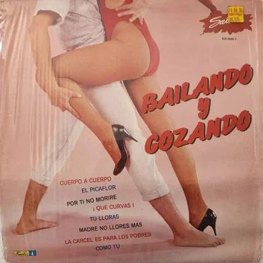 Bailando y gozando by Varios - album cover
