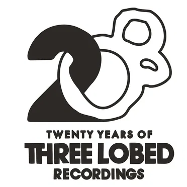 Three Lobed Recordings at 20: An Overview by Various Artists - album cover