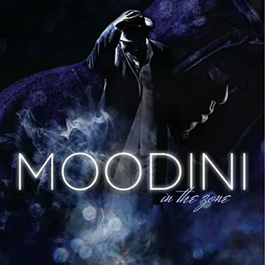 In The Zone by Moodini - album cover