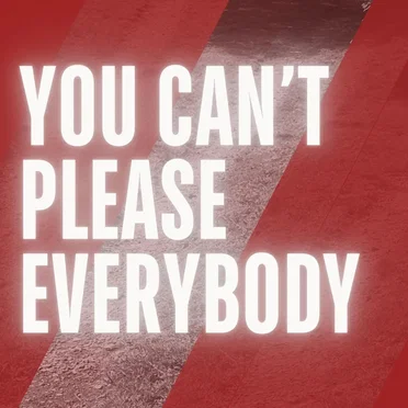 You Can't Please Everybody by Shelectro - album cover