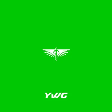 SOUL OPERATION by YWG The Rapper - album cover