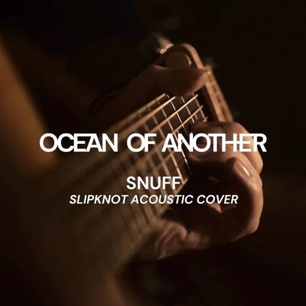 Snuff (Slipknot Acoustic Cover)