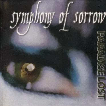 Paradise Lost by Symphony of Sorrow - album cover