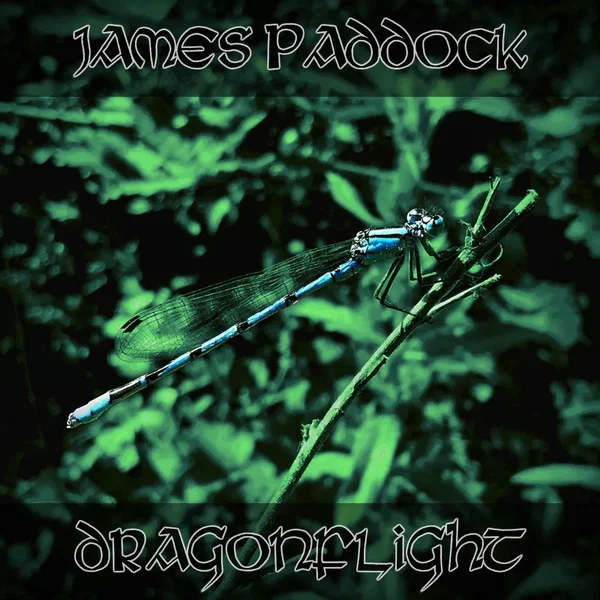 Dragonflight