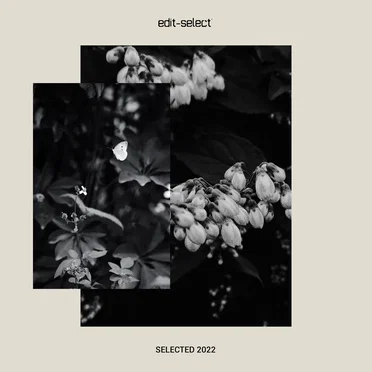 Selected 2022 by Various Artists - album cover